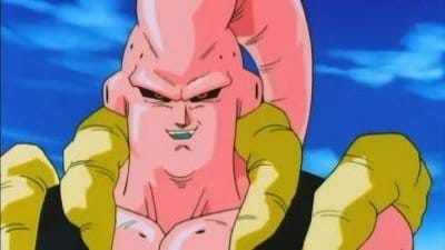 -E265- Majin-Buu Transforms